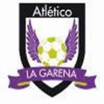 00100 0000049097 ESCUDO atletico la garena